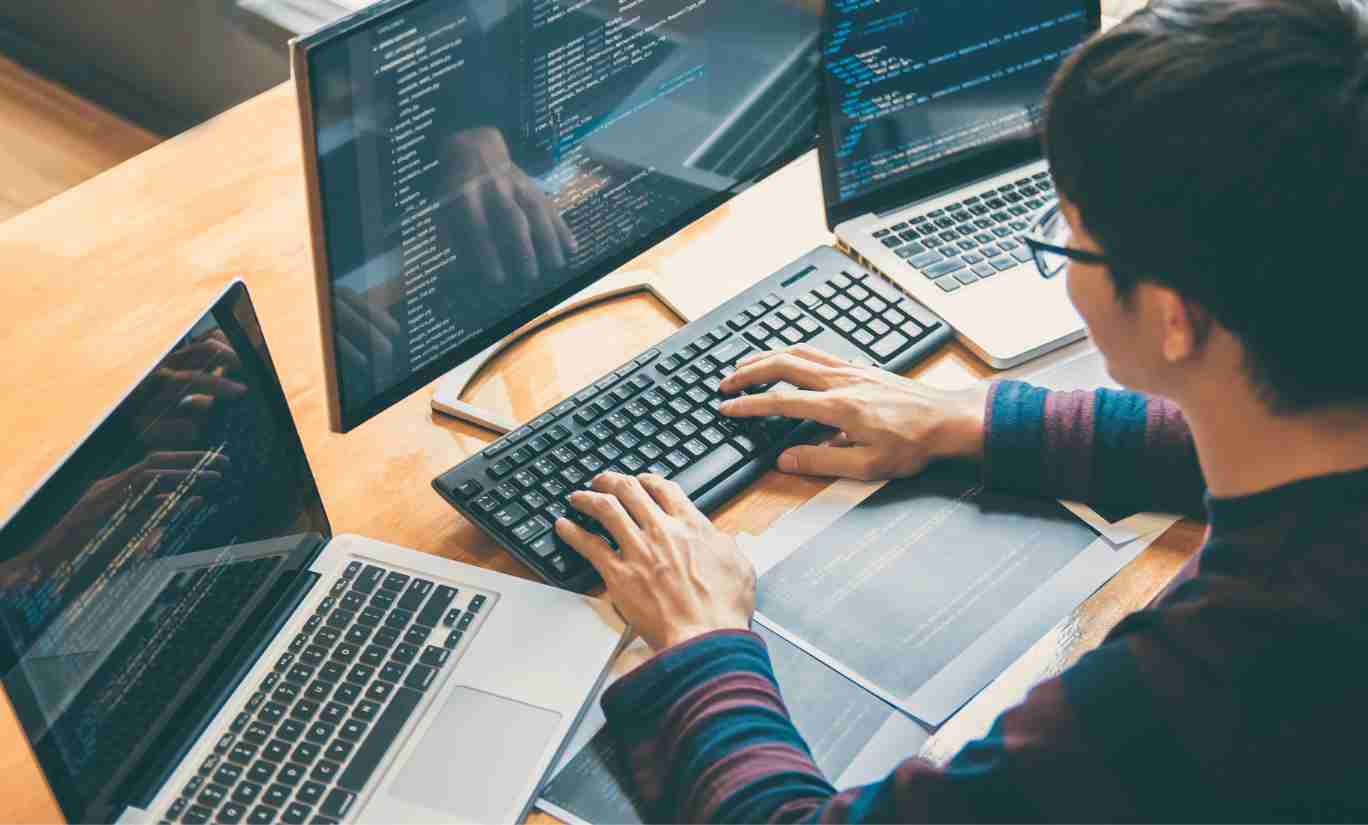 ROAR's Do it yourself SEO Software