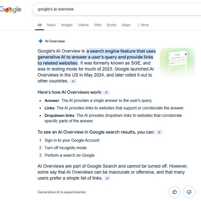 Google AI Overview displayed on the SERP